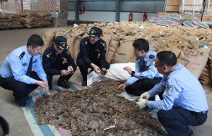 130121_pangolinscale