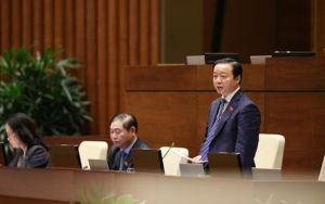 Thiết kế chưa có tên - 2024-12-31T170235.582