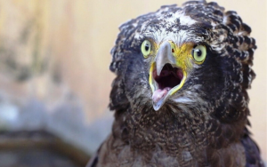 Thiết kế chưa có tên - 2024-12-31T171550.470