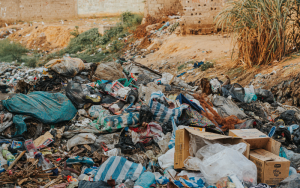 Thiết kế chưa có tên - 2024-12-31T171928.413