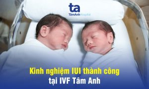 thu-tinh-nhan-tao-iui